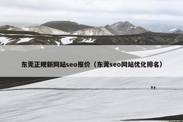 东莞正规新网站seo报价（东莞seo网站优化排名）-第1张图片-冷动云