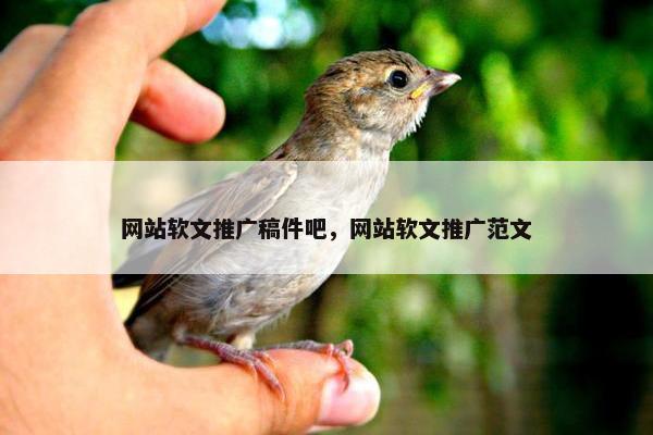 网站软文推广稿件吧，网站软文推广范文-第1张图片-冷动云