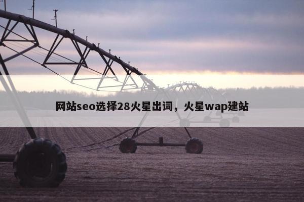 网站seo选择28火星出词，火星wap建站-第1张图片-冷动云