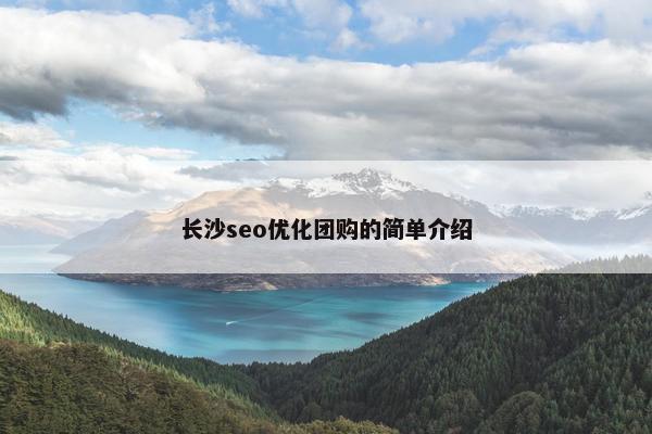 长沙seo优化团购的简单介绍-第1张图片-冷动云