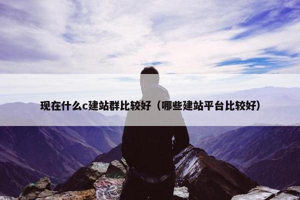 现在什么c建站群比较好（哪些建站平台比较好）-第1张图片-冷动云