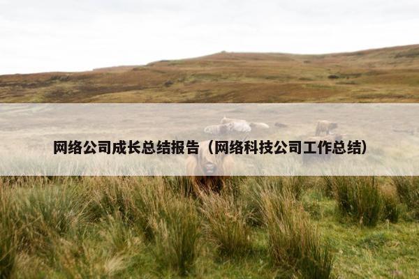 网络公司成长总结报告（网络科技公司工作总结）-第1张图片-冷动云