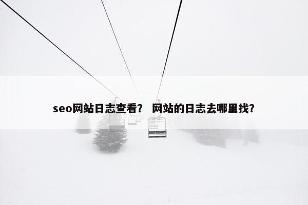 seo网站日志查看？ 网站的日志去哪里找？-第1张图片-冷动云