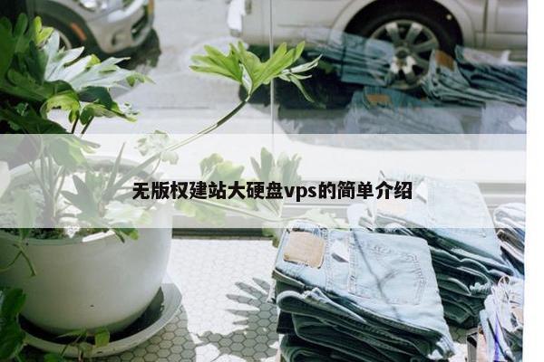 无版权建站大硬盘vps的简单介绍-第1张图片-冷动云