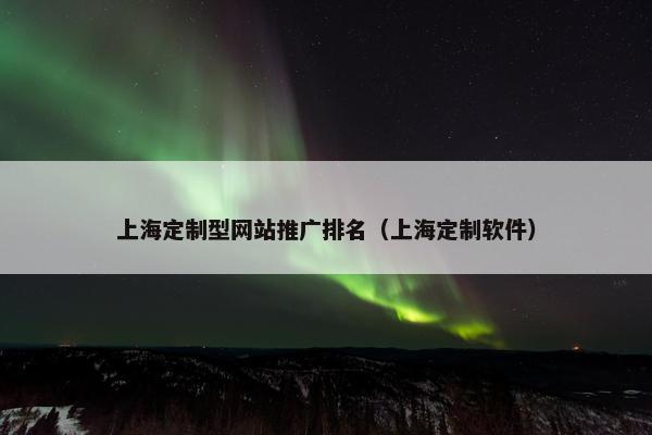 上海定制型网站推广排名（上海定制软件）-第1张图片-冷动云