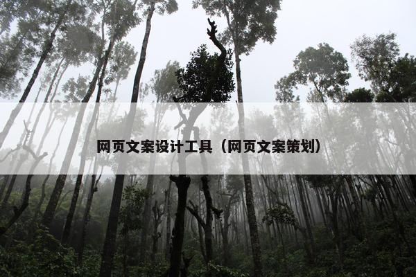 网页文案设计工具（网页文案策划）-第1张图片-冷动云