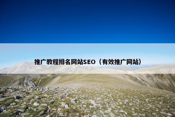 推广教程排名网站SEO（有效推广网站）-第1张图片-冷动云