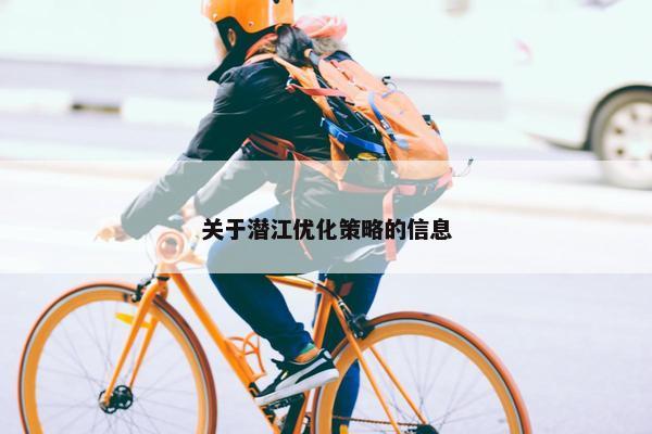 关于潜江优化策略的信息-第1张图片-冷动云