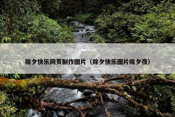 除夕快乐网页制作图片（除夕快乐图片除夕夜）-第1张图片-冷动云