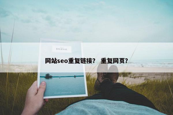 网站seo重复链接？ 重复网页？-第1张图片-冷动云