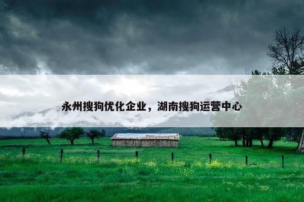 永州搜狗优化企业，湖南搜狗运营中心-第1张图片-冷动云