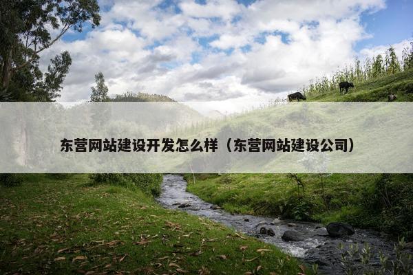 东营网站建设开发怎么样（东营网站建设公司）-第1张图片-冷动云