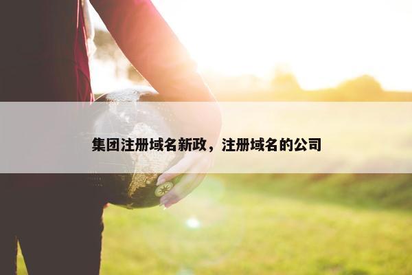 集团注册域名新政，注册域名的公司-第1张图片-冷动云