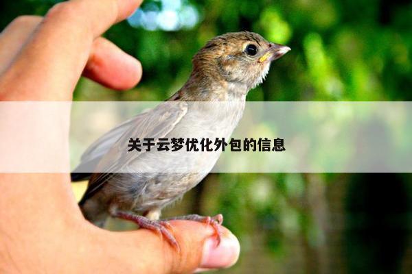关于云梦优化外包的信息-第1张图片-冷动云