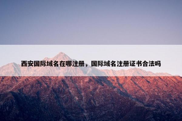 西安国际域名在哪注册，国际域名注册证书合法吗-第1张图片-冷动云