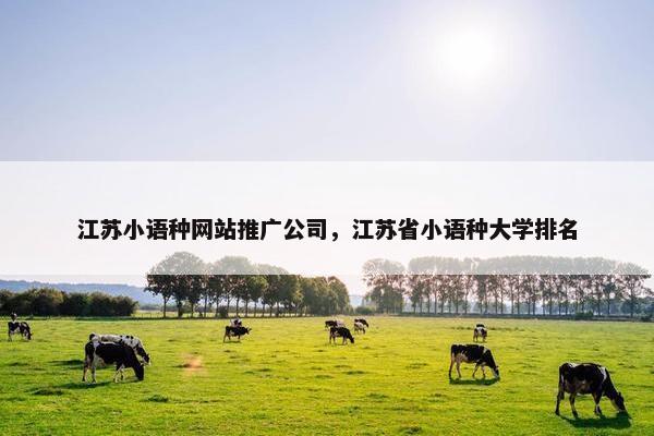 江苏小语种网站推广公司，江苏省小语种大学排名-第1张图片-冷动云