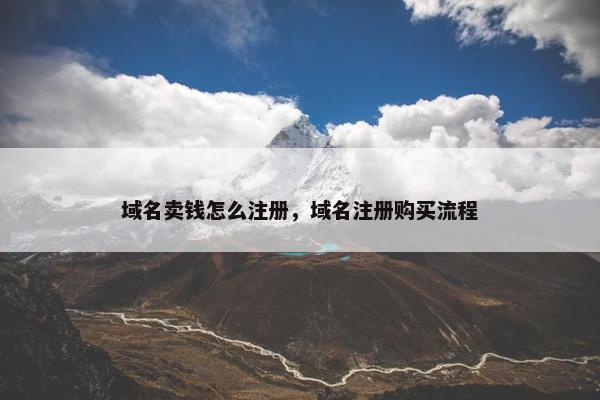 域名卖钱怎么注册，域名注册购买流程-第1张图片-冷动云