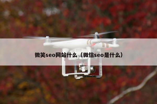 微笑seo网站什么（微信seo是什么）-第1张图片-冷动云