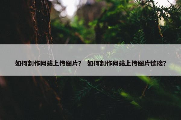 如何制作网站上传图片？ 如何制作网站上传图片链接？-第1张图片-冷动云
