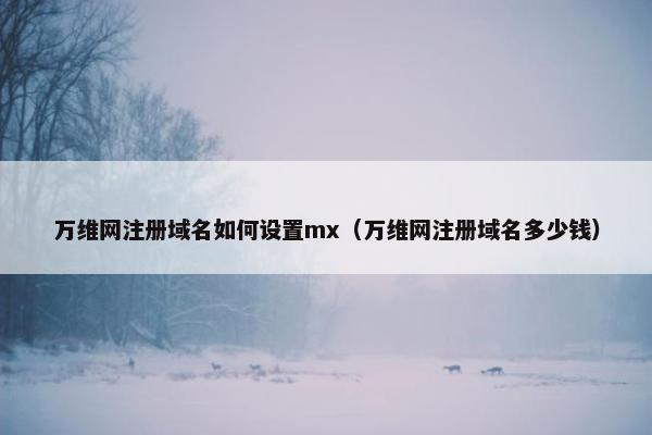 万维网注册域名如何设置mx（万维网注册域名多少钱）-第1张图片-冷动云
