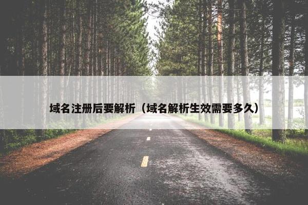域名注册后要解析（域名解析生效需要多久）-第1张图片-冷动云