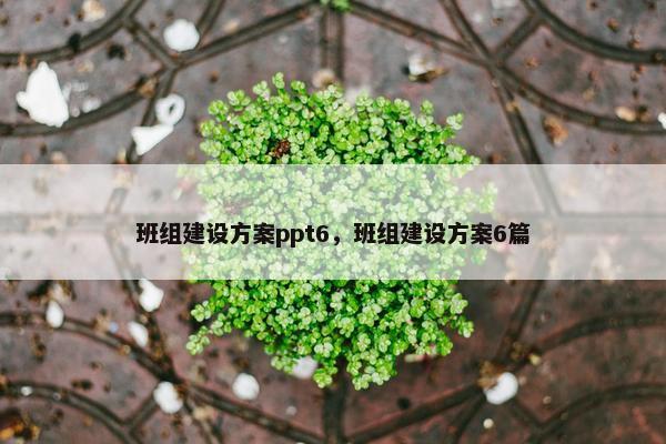 班组建设方案ppt6，班组建设方案6篇-第1张图片-冷动云