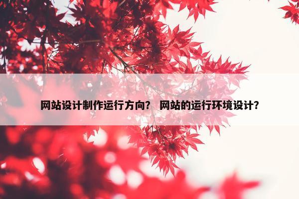 网站设计制作运行方向？ 网站的运行环境设计？-第1张图片-冷动云