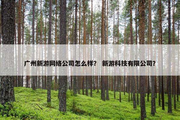 广州新游网络公司怎么样？ 新游科技有限公司？-第1张图片-冷动云