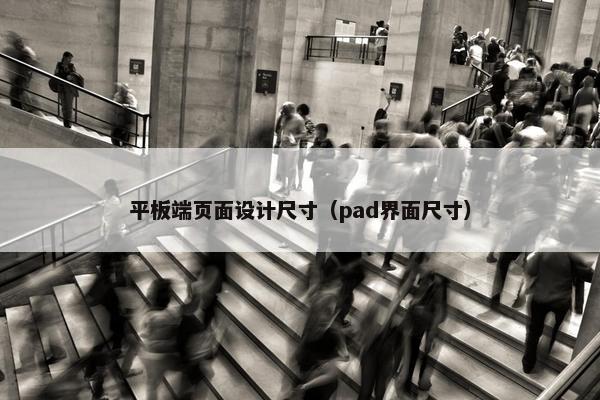 平板端页面设计尺寸（pad界面尺寸）-第1张图片-冷动云