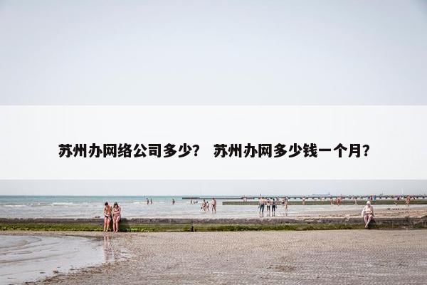 苏州办网络公司多少？ 苏州办网多少钱一个月？-第1张图片-冷动云