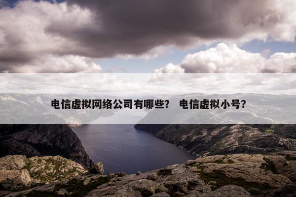 电信虚拟网络公司有哪些？ 电信虚拟小号？-第1张图片-冷动云