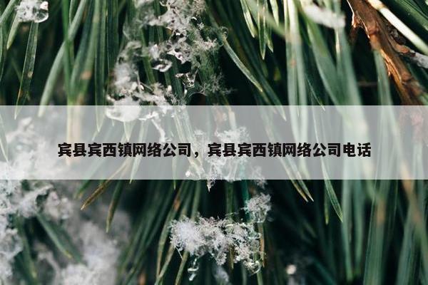 宾县宾西镇网络公司，宾县宾西镇网络公司电话-第1张图片-冷动云