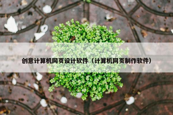 创意计算机网页设计软件（计算机网页制作软件）-第1张图片-冷动云