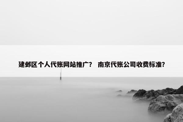 建邺区个人代账网站推广？ 南京代账公司收费标准？-第1张图片-冷动云