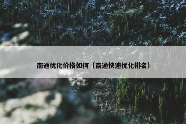南通优化价格如何（南通快速优化排名）-第1张图片-冷动云