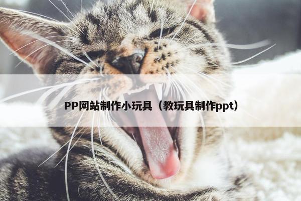 PP网站制作小玩具（教玩具制作ppt）-第1张图片-冷动云