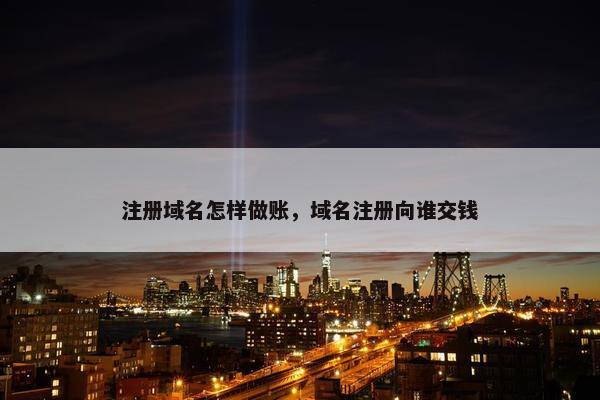 注册域名怎样做账，域名注册向谁交钱-第1张图片-冷动云