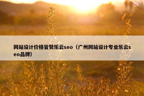网站设计价格皆赞乐云seo（广州网站设计专业乐云seo品牌）-第1张图片-冷动云