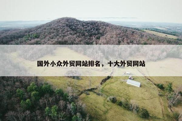 国外小众外贸网站排名，十大外贸网站-第1张图片-冷动云