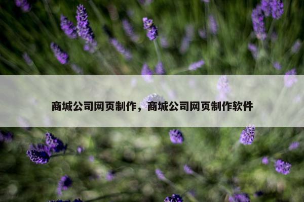 商城公司网页制作，商城公司网页制作软件-第1张图片-冷动云