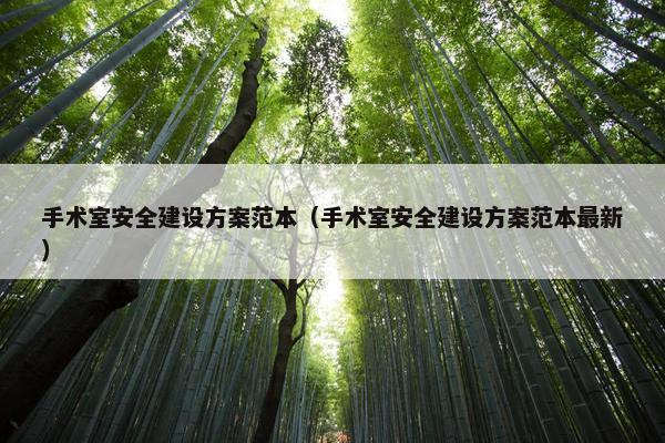 手术室安全建设方案范本（手术室安全建设方案范本最新）-第1张图片-冷动云