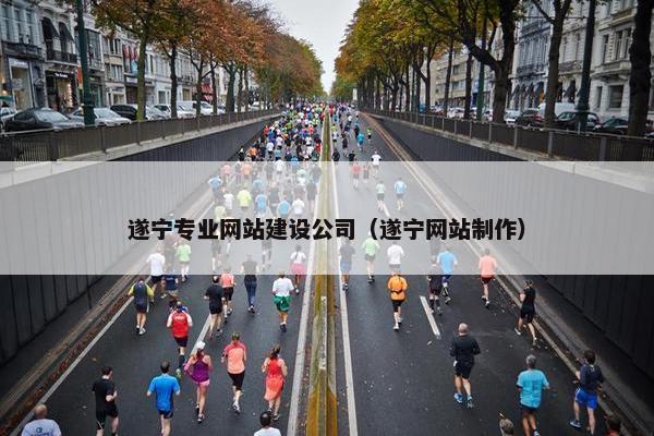 遂宁专业网站建设公司（遂宁网站制作）-第1张图片-冷动云