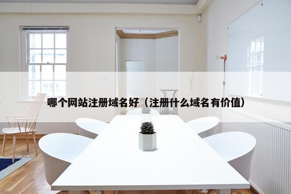 哪个网站注册域名好（注册什么域名有价值）-第1张图片-冷动云