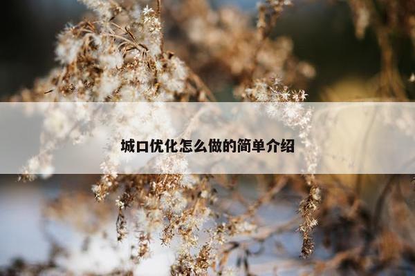 城口优化怎么做的简单介绍-第1张图片-冷动云