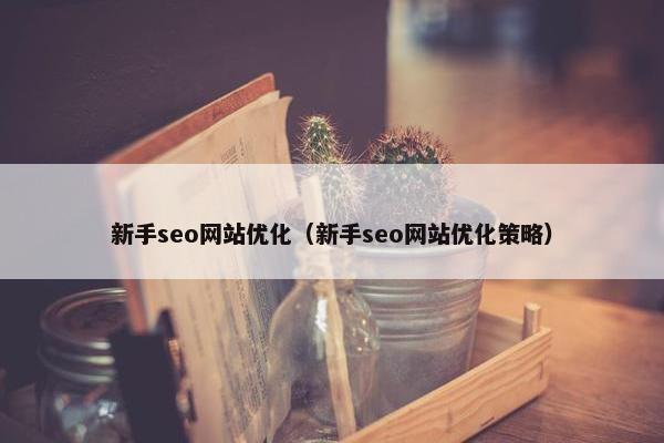 新手seo网站优化（新手seo网站优化策略）-第1张图片-冷动云