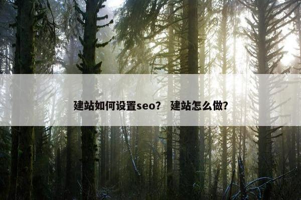 建站如何设置seo？ 建站怎么做？-第1张图片-冷动云