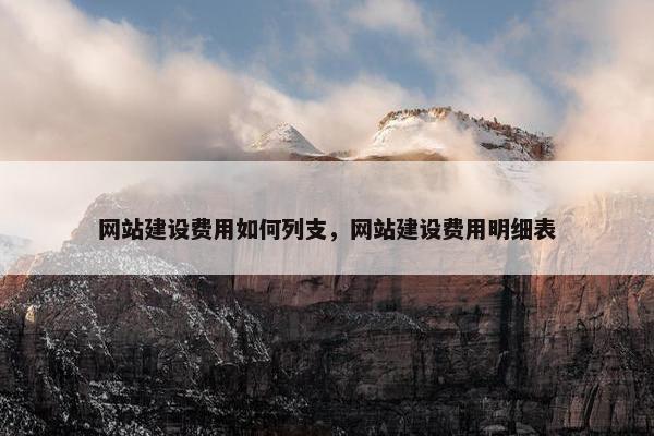 网站建设费用如何列支，网站建设费用明细表-第1张图片-冷动云