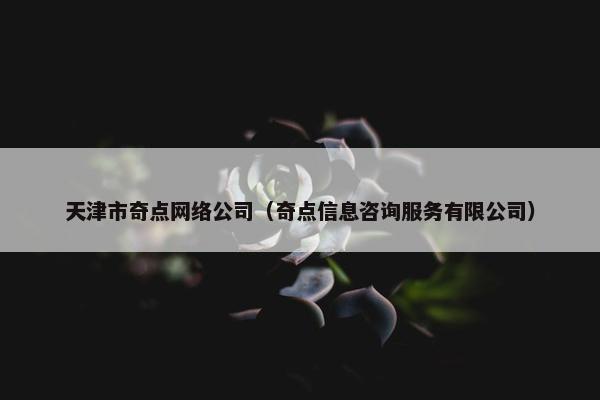 天津市奇点网络公司（奇点信息咨询服务有限公司）-第1张图片-冷动云