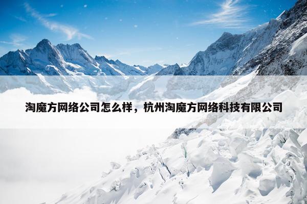 淘魔方网络公司怎么样，杭州淘魔方网络科技有限公司-第1张图片-冷动云
