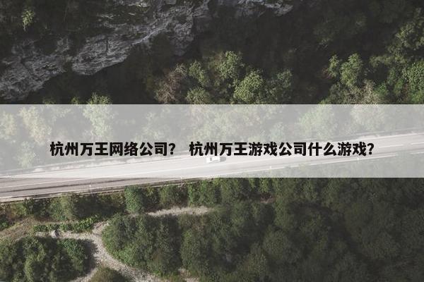 杭州万王网络公司？ 杭州万王游戏公司什么游戏？-第1张图片-冷动云
